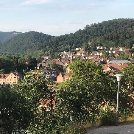 Chez Jose Appartement Rothau Buitenkant foto